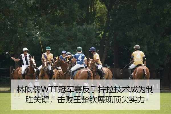 林昀儒WTT冠军赛反手拧拉技术成为制胜关键，击败王楚钦展现顶尖实力